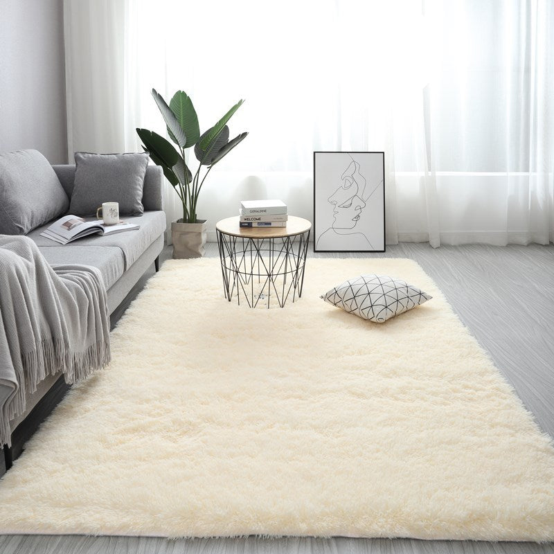 Modern Fluffy Carpet