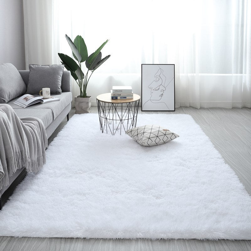 Modern Fluffy Carpet