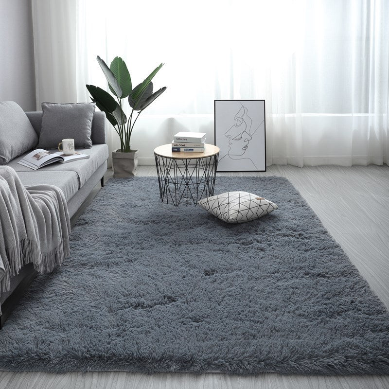 Modern Fluffy Carpet