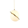 Modern Pendant Light