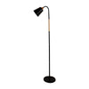 Modern Floor Lamp